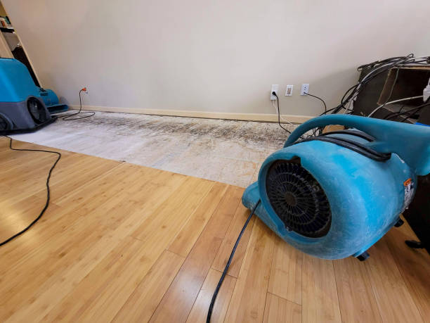 Professional Structural Drying technician working in North Beach, MD